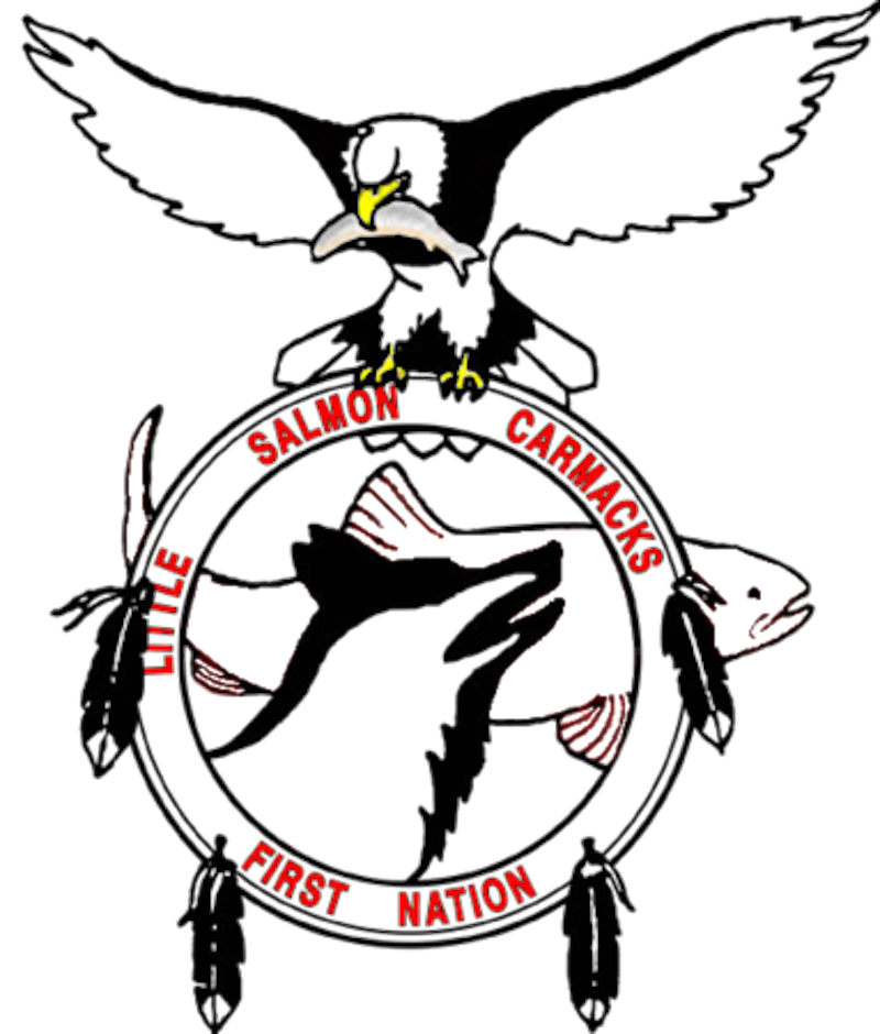 LSCFN Logo