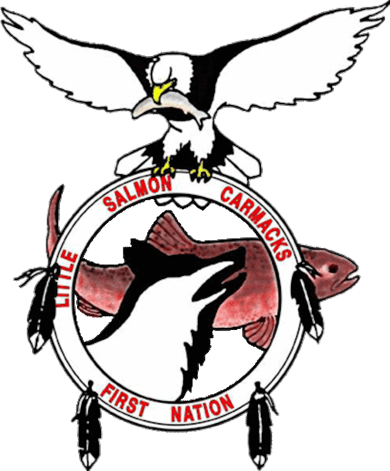 LSCFN Logo